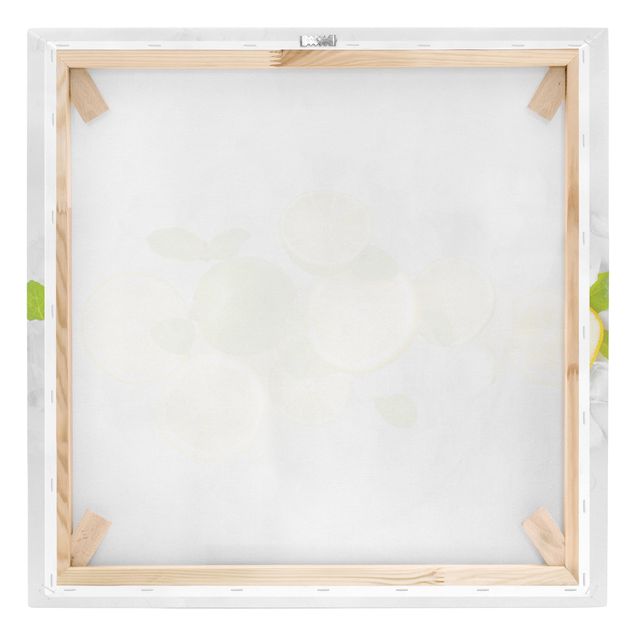 Leinwandbild - Zitrusfrüchte auf Eiswürfel - Quadrat 1:1