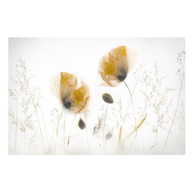Leinwandbild - Mohnblumen und zarte Gräser im weichen Nebel - Querformat 3:2