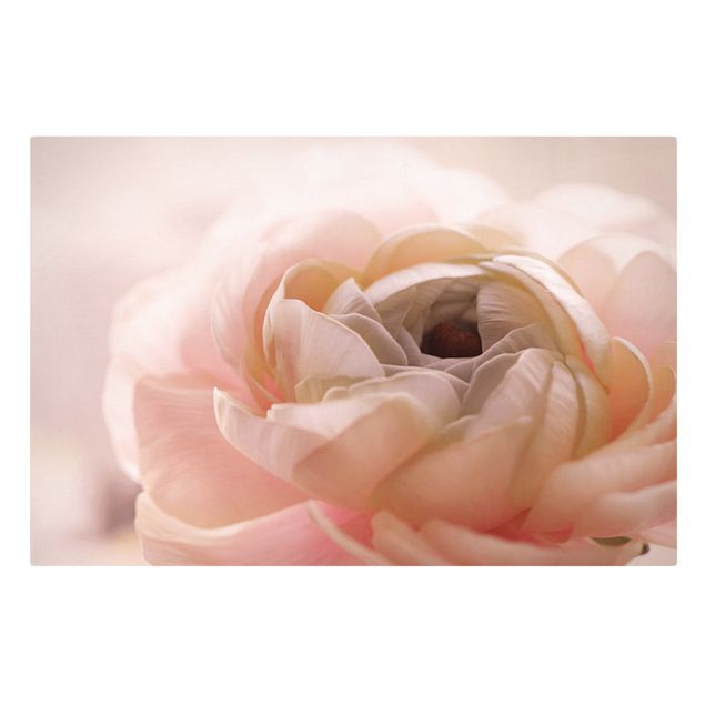Leinwandbild - Rosa Blüte im Fokus - Querformat 3:2