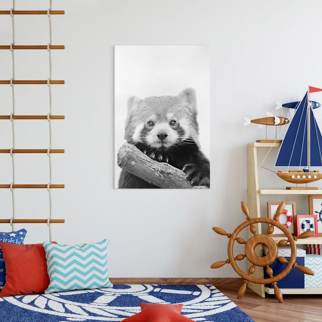 Leinwandbild - Roter Panda in Schwarz-weiß - Hochformat 2:3