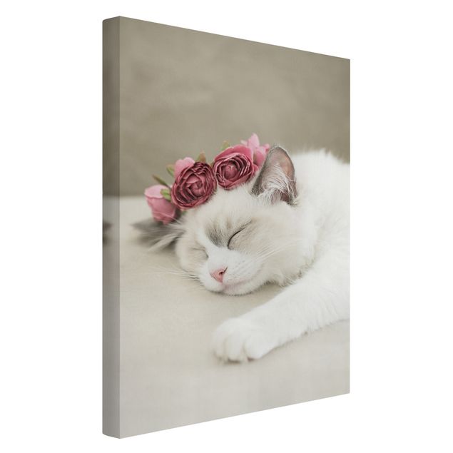 Leinwandbild - Schlafende Katze mit Rosen - Hochformat 2:3