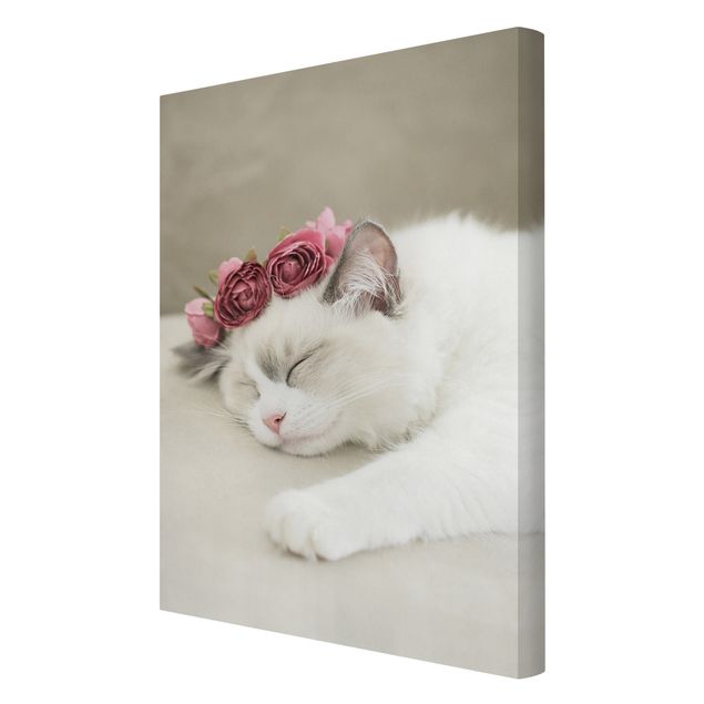 Leinwandbild - Schlafende Katze mit Rosen - Hochformat 2:3