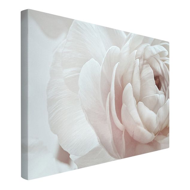 Leinwandbild - Weiße Blüte im Blütenmeer - Querformat 3:2