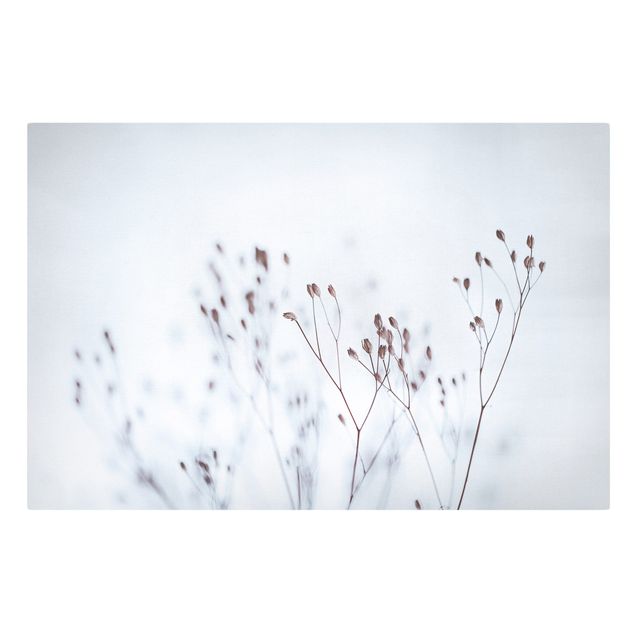 Leinwandbild - Zartblaue Wildblumen - Querformat 3:2