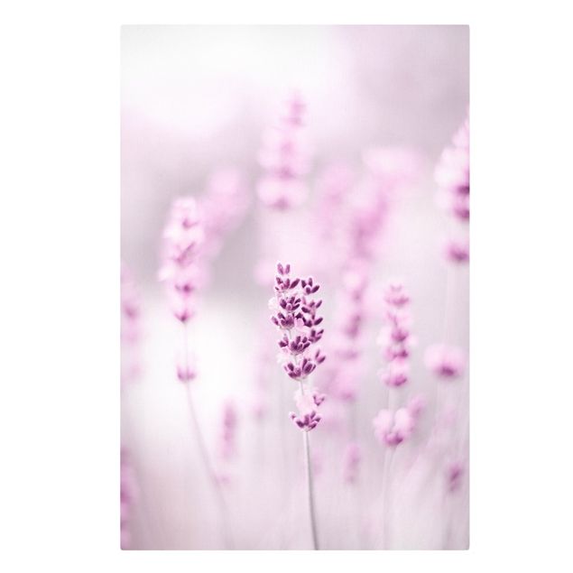 Leinwandbild - Zartvioletter Lavendel - Hochformat 2:3