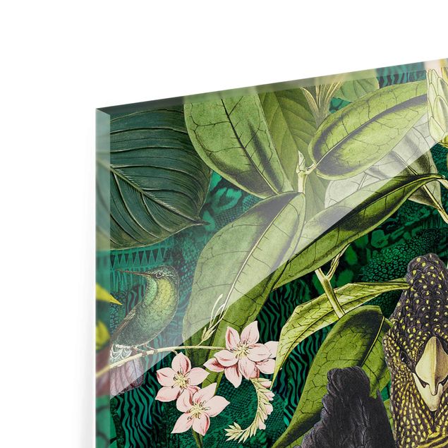 Glasbild - Bunte Collage - Kakadus im Dschungel - Hochformat 3:2