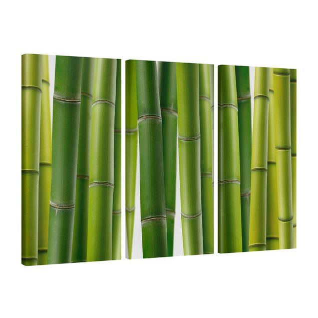 Leinwandbild 3-teilig - Bambuspflanzen - Hoch 1:2
