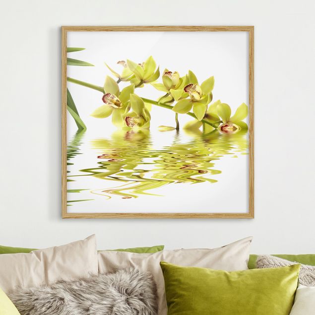 Bild mit Rahmen - Elegant Orchid Waters - Quadrat 1:1