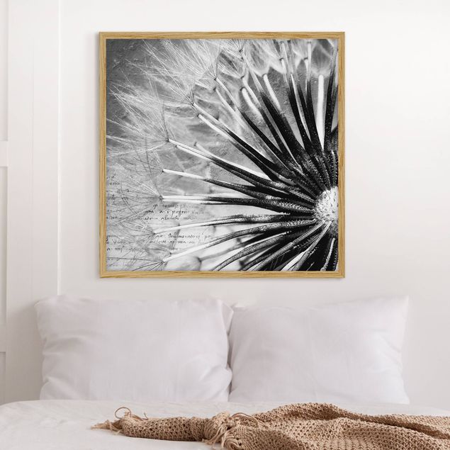 Bild mit Rahmen - Pusteblume Schwarz & Weiß - Quadrat 1:1