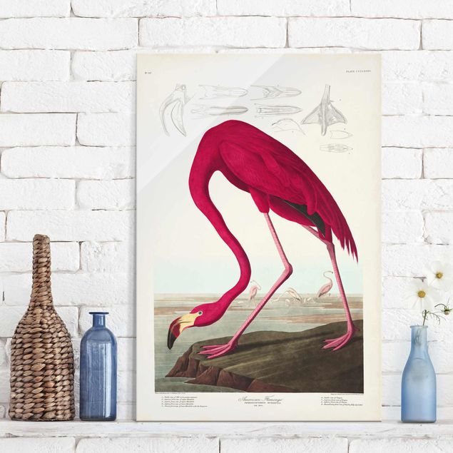 Glas Magnettafel Vintage Lehrtafel Amerikanischer Flamingo