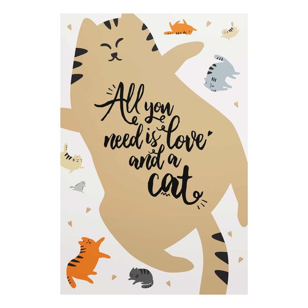 Glasbild - All you need is love and a cat Katzenbauch - Hochformat