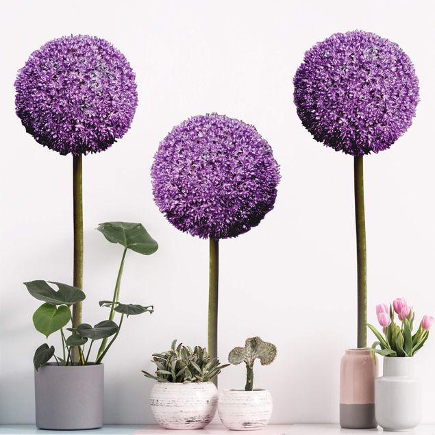 Wandtattoo Blumen Allium Kugel-Blüten 3er Set