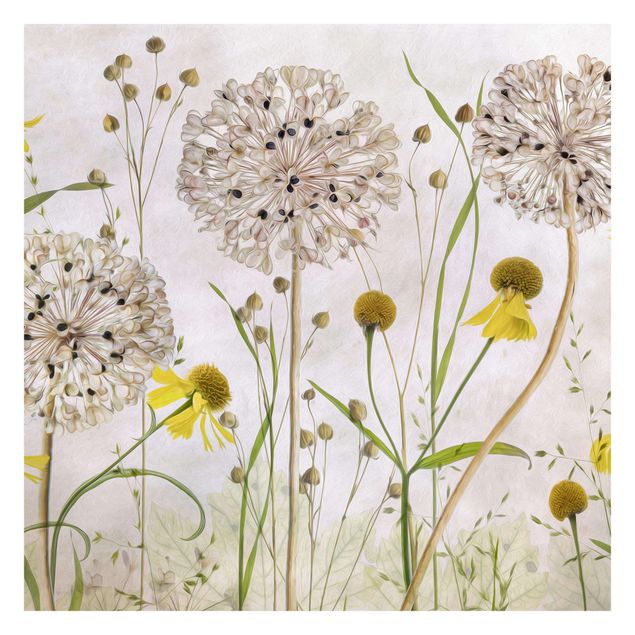 Fototapete - Allium und Helenium Illustration