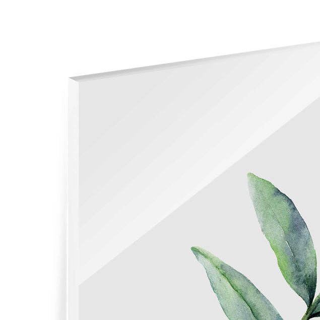 Glasbild - Aquarell Eucalyptus I - Quadrat