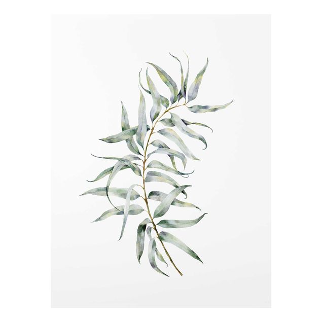 Glasbild - Aquarell Eucalyptus IV - Hochformat