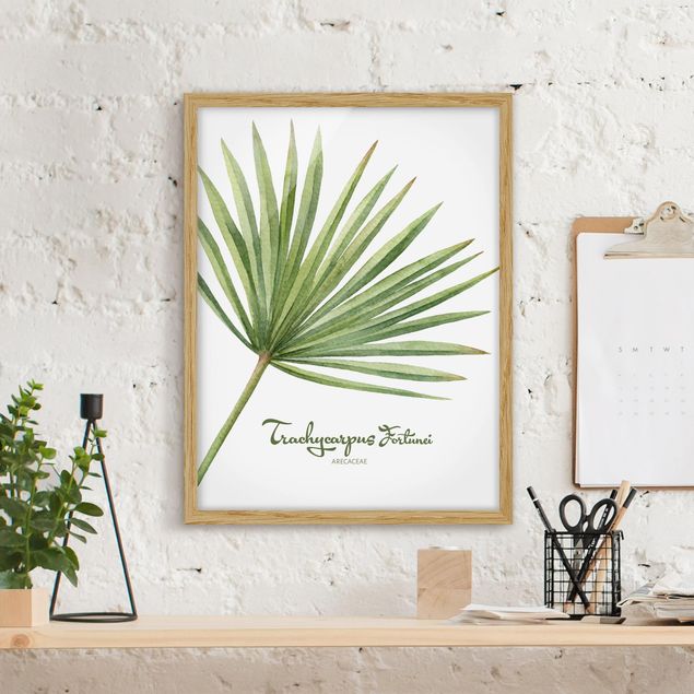 Bild mit Rahmen - Aquarell Botanik Trachycarpus fortunei - Hochformat 3:4