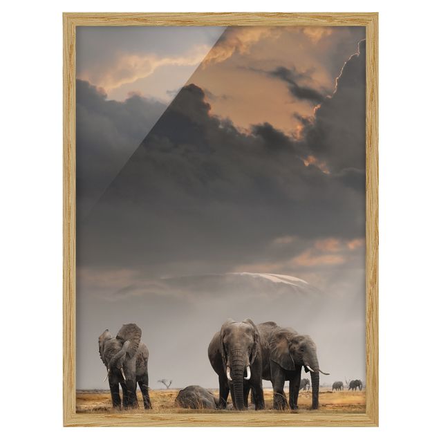 Bild mit Rahmen - Elefanten der Savanne - Hochformat 3:4
