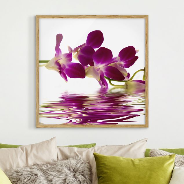 Bild mit Rahmen - Pink Orchid Waters - Quadrat 1:1