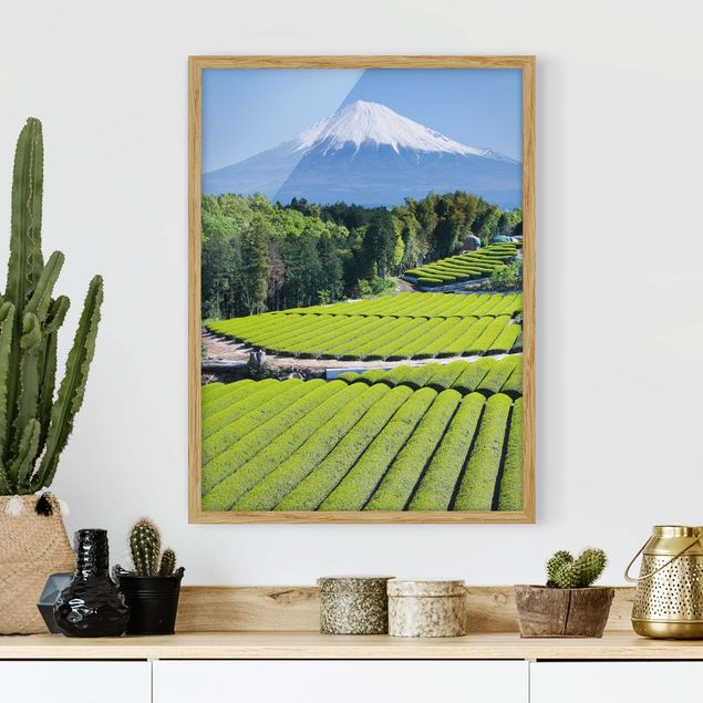 Bild mit Rahmen - Teefelder vor dem Fuji - Hochformat 3:4