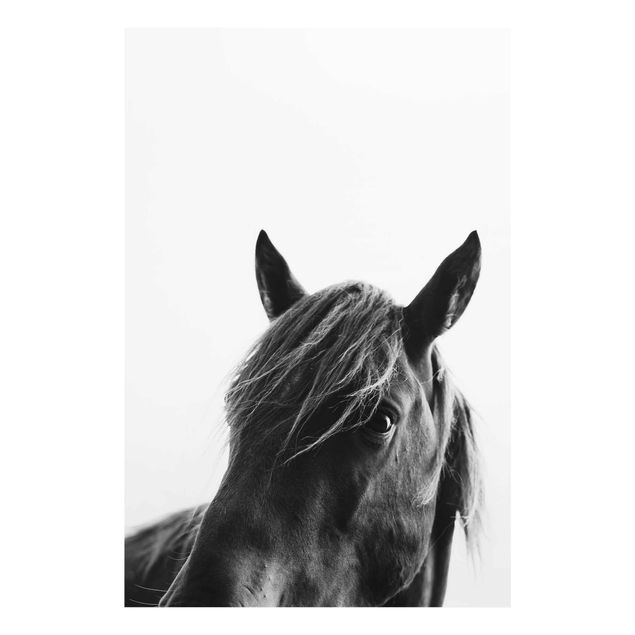 Glasbild - Neugieriges Pferd - Hochformat 3:2