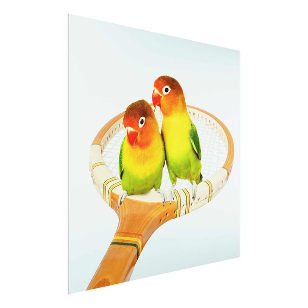 Glasbild - Jonas Loose - Tennis mit Vögeln - Quadrat 1:1