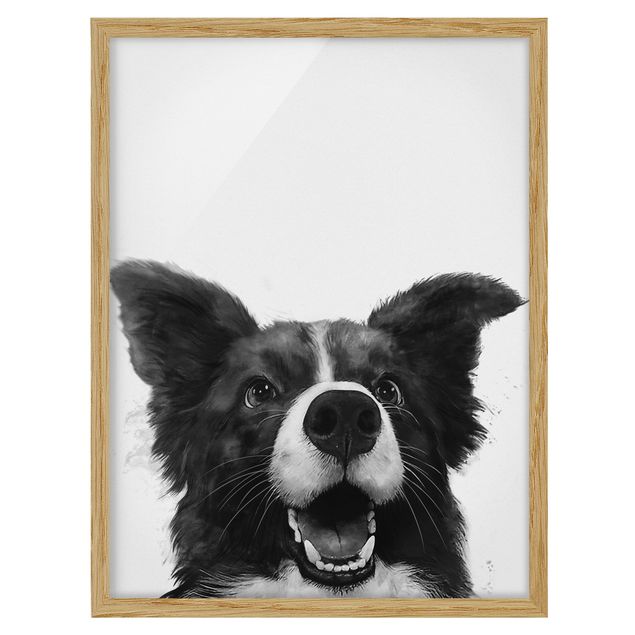 Bild mit Rahmen - Illustration Hund Border Collie Schwarz Weiß Malerei - Hochformat 4:3