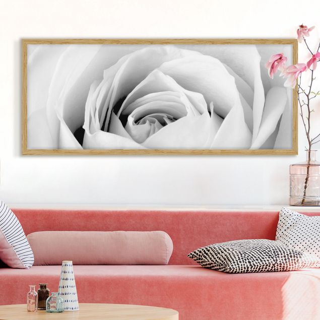 Bild mit Rahmen - Close Up Rose - Panorama Querformat