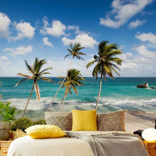 Fototapete - Beach of Barbados