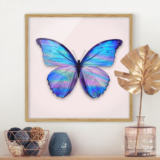 Bild mit Rahmen - Jonas Loose - Holografischer Schmetterling - Quadrat 1:1