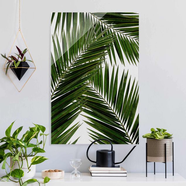 Glas Magnetboard Blick durch grüne Palmenblätter