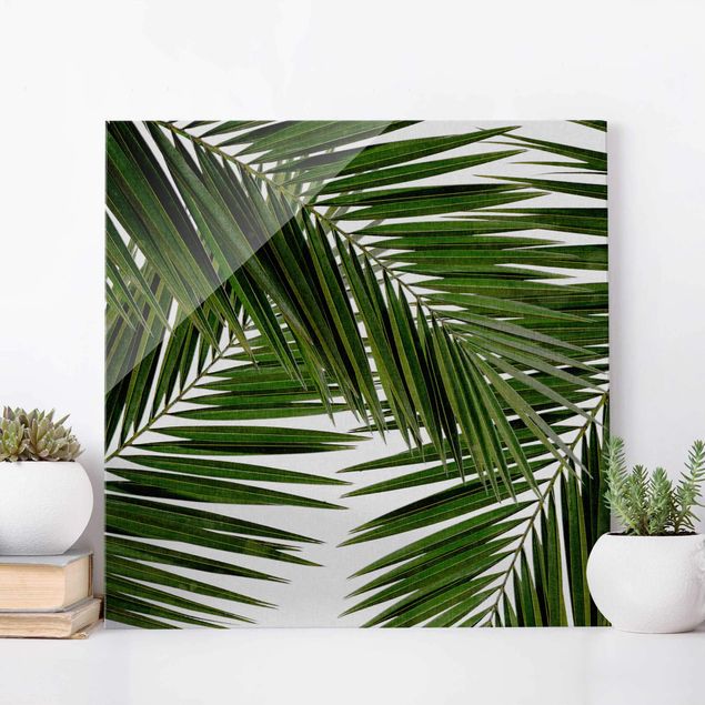 Glas Magnettafel Blick durch grüne Palmenblätter