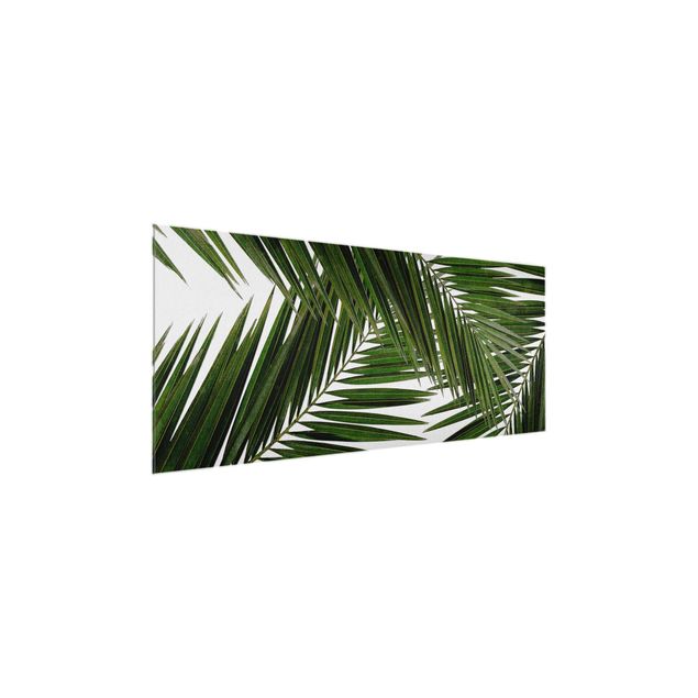 Glasbild - Blick durch grüne Palmenblätter - Panorama