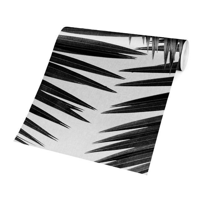 Fototapete - Blick durch Palmenblätter Schwarz-Weiß