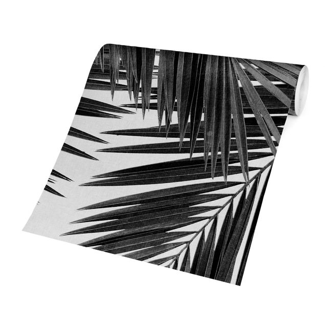 Fototapete - Blick durch Palmenblätter schwarz weiß