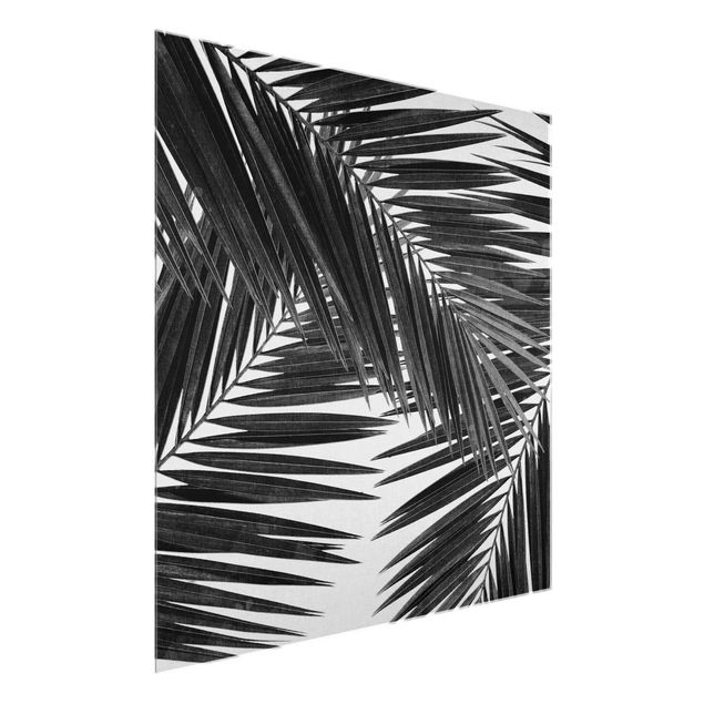Glasbild - Blick durch Palmenblätter schwarz weiß - Quadrat
