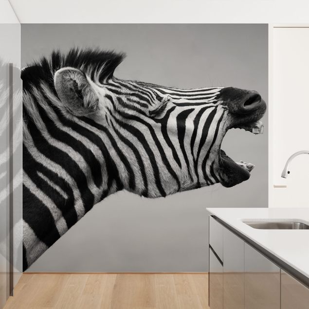 Fototapete - Brüllendes Zebra II