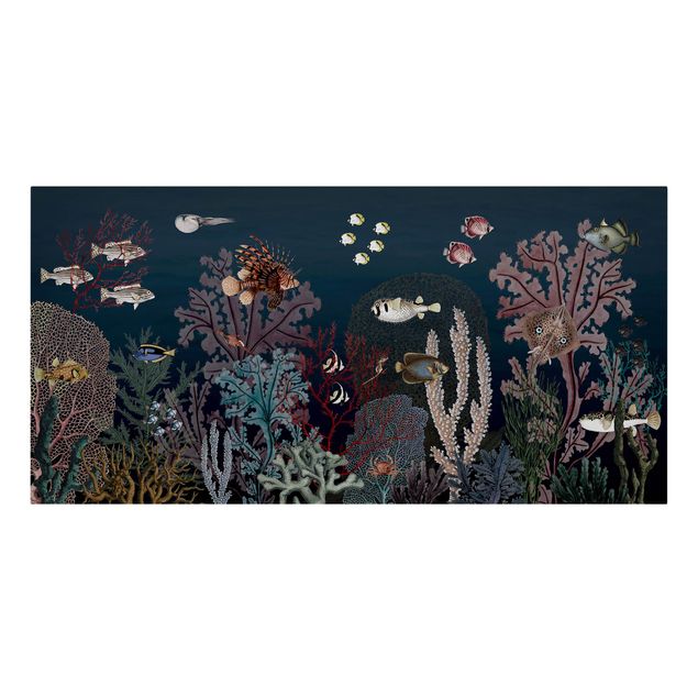 Leinwandbild - Buntes Korallenriff bei Nacht - Querformat 2:1