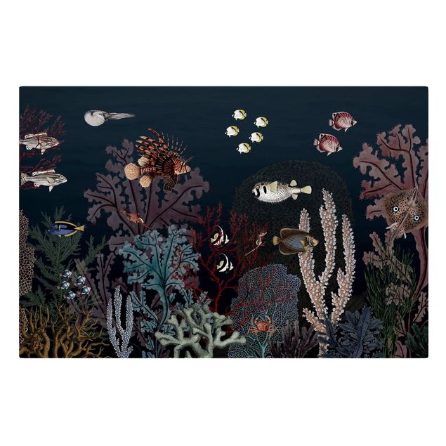 Leinwandbild - Buntes Korallenriff bei Nacht - Querformat 3:2