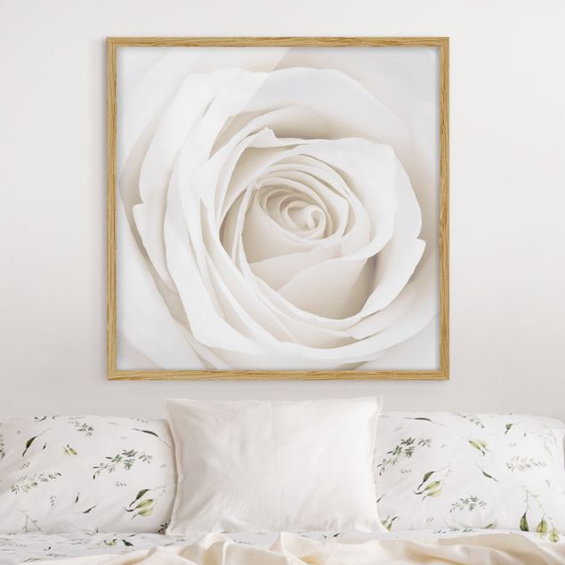 Bild mit Rahmen - Pretty White Rose - Quadrat 1:1