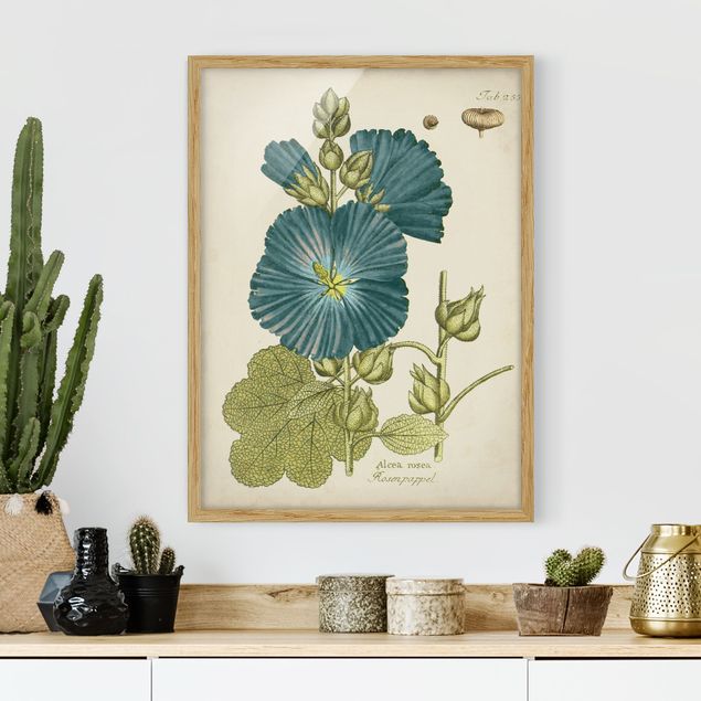 Bild mit Rahmen - Vintage Botanik in Blau Rosenpappel - Hochformat 4:3