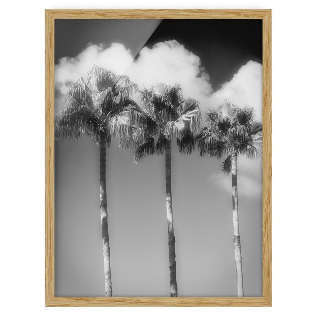 Bild mit Rahmen - Palmen vor Himmel Schwarz-Weiß - Hochformat 4:3