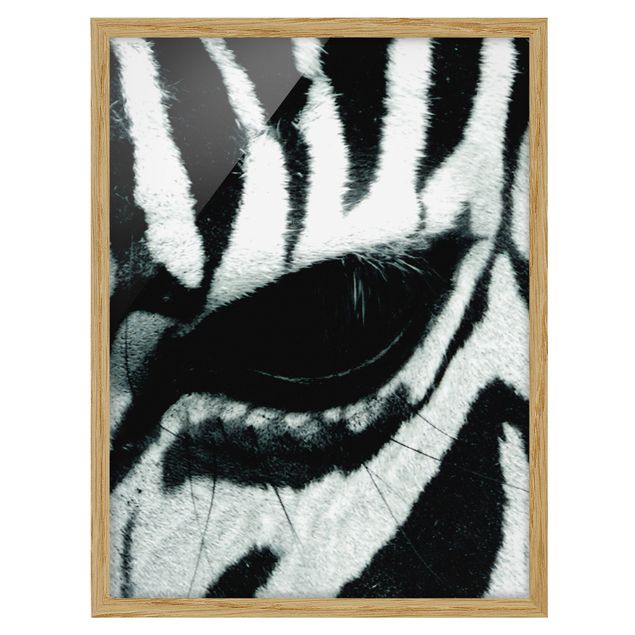 Bild mit Rahmen - Zebra Crossing No.4 - Hochformat 3:4