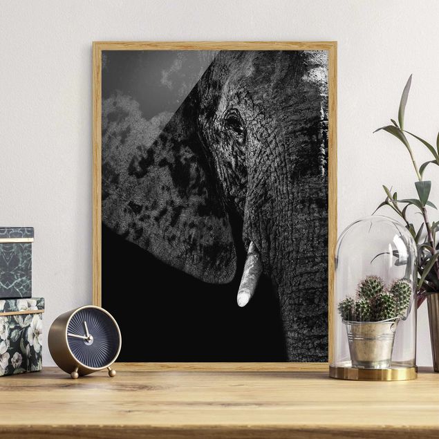 Bild mit Rahmen - Afrikanischer Elefant schwarz-weiß - Hochformat 3:4