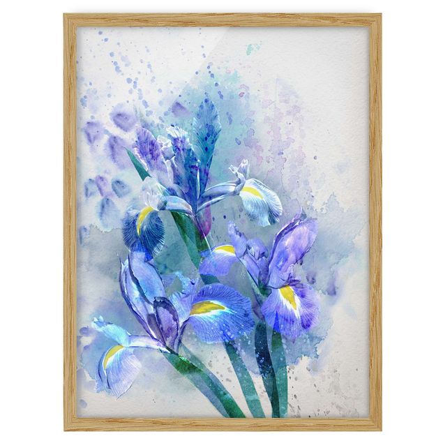 Bild mit Rahmen - Aquarell Blumen Iris - Hochformat 3:4