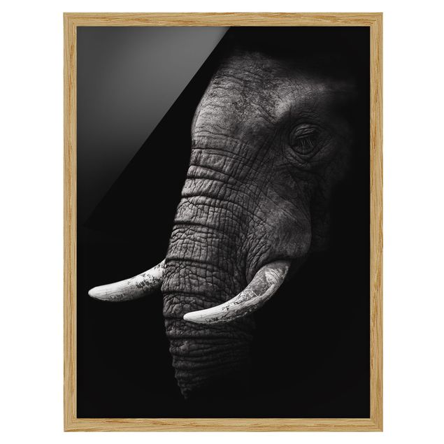Bild mit Rahmen - Dunkles Elefanten Portrait - Hochformat 4:3