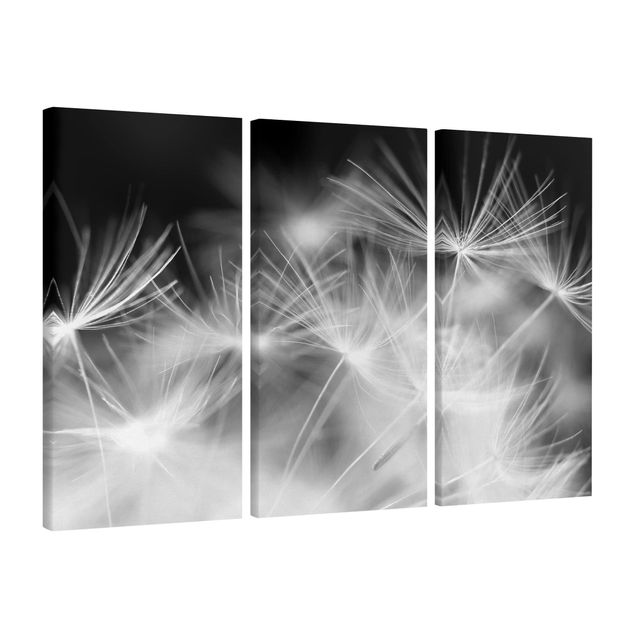 Leinwandbild 3-teilig - Bewegte Pusteblumen Nahaufnahme auf schwarzem Hintergrund - Hoch 1:2