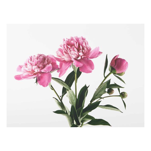 Glasbild - Blüten und Knospen Pink auf Weiß - Querformat 3:4