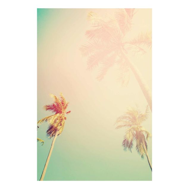 Glasbild - Tropische Pflanzen Palmen bei Sonnenuntergang III - Hochformat 3:2