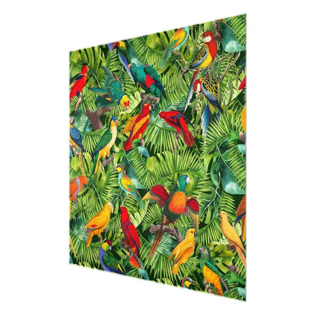 Glasbild - Bunte Collage - Papageien im Dschungel - Quadrat 1:1