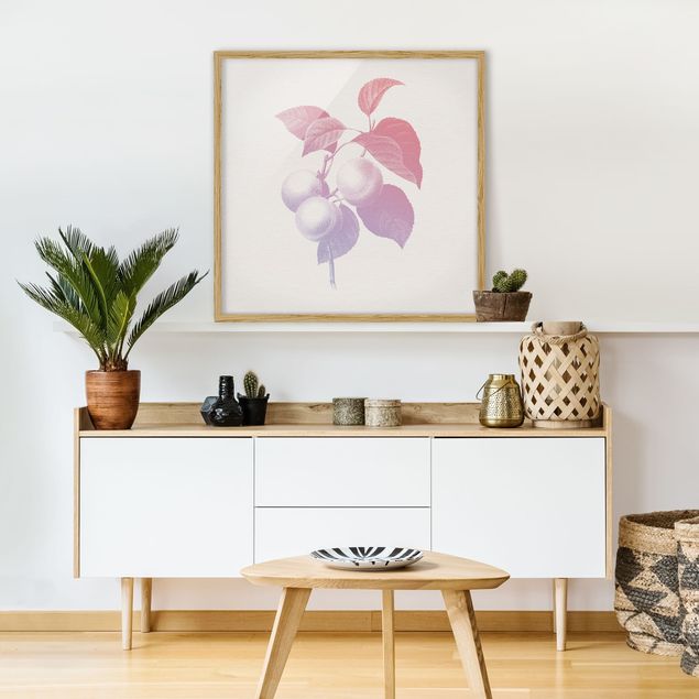 Bild mit Rahmen - Modern Vintage Botanik Pfirsich Rosa Violett - Quadrat 1:1